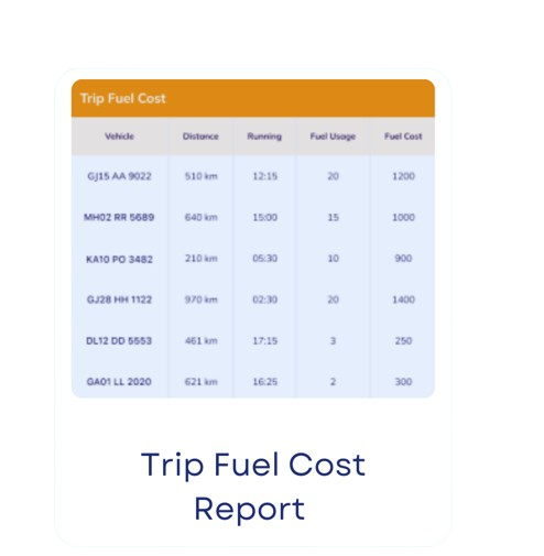 fuel management trip cost